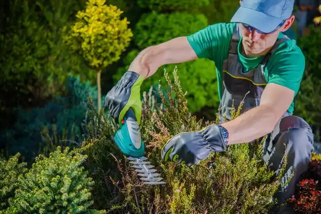 landscaping services Leawood